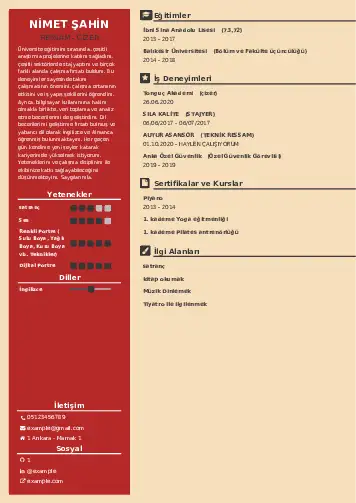 Ressam Cv Örnekleri cv indir